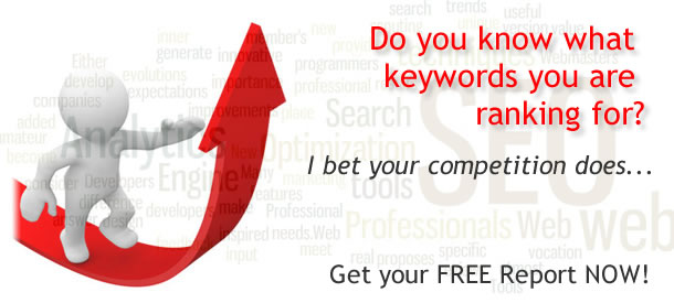 free search engine ranking report in ontario