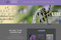 Our Previous Work – www.peclavender.com