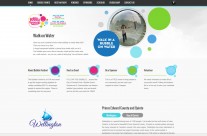 Our Previous Work – Bubblefestival